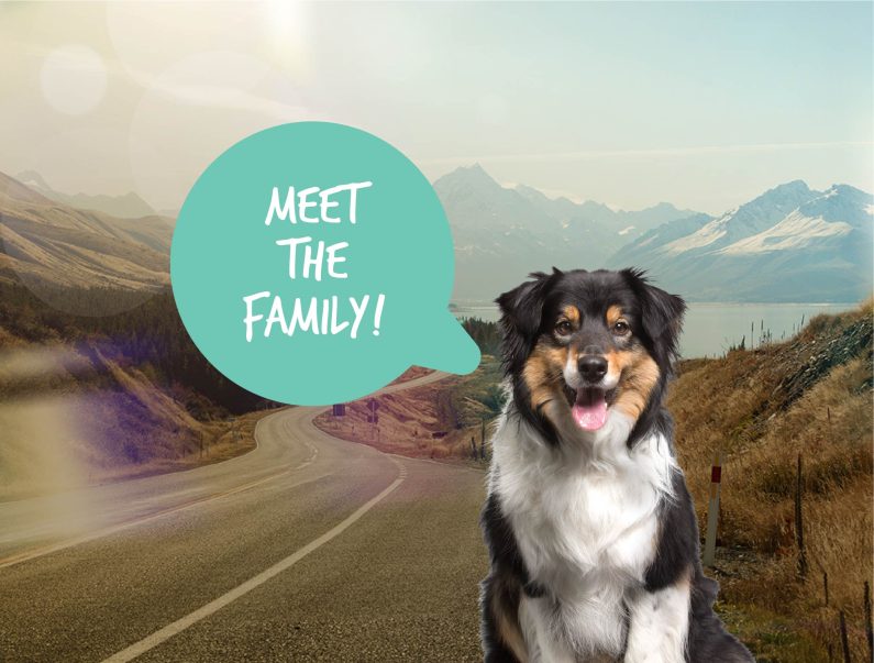 Meet the family 01