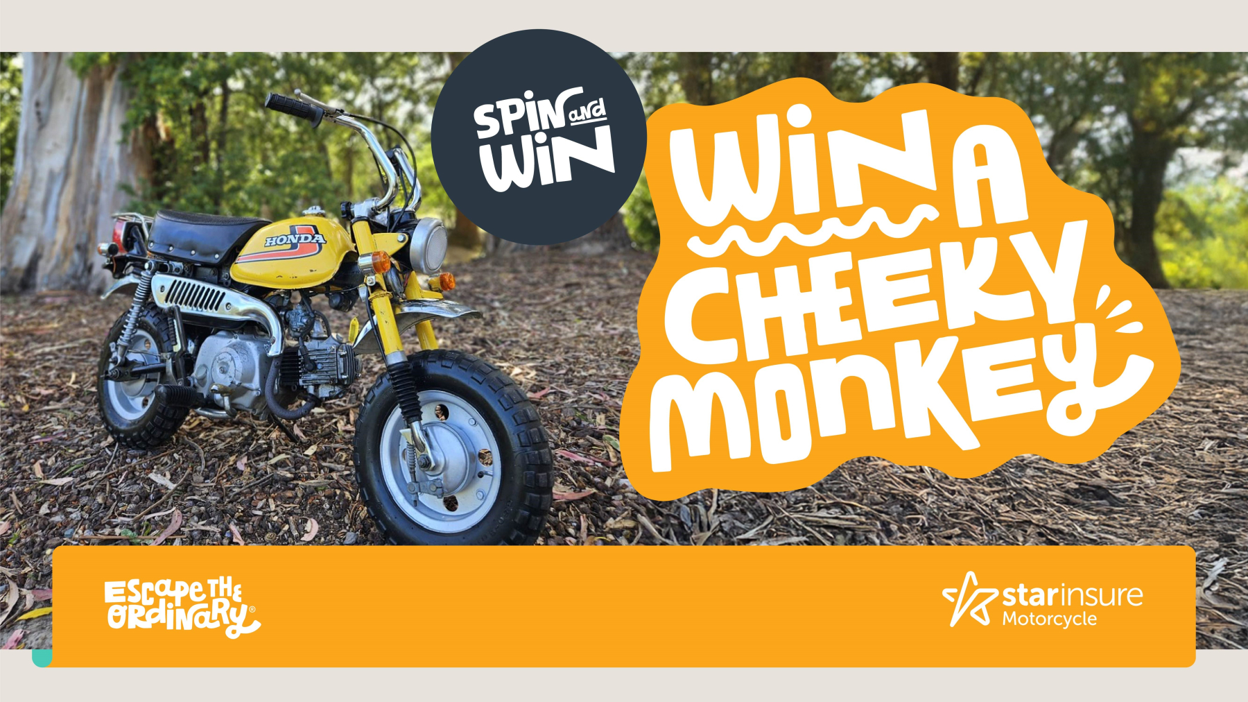 Win a cheeky monkey