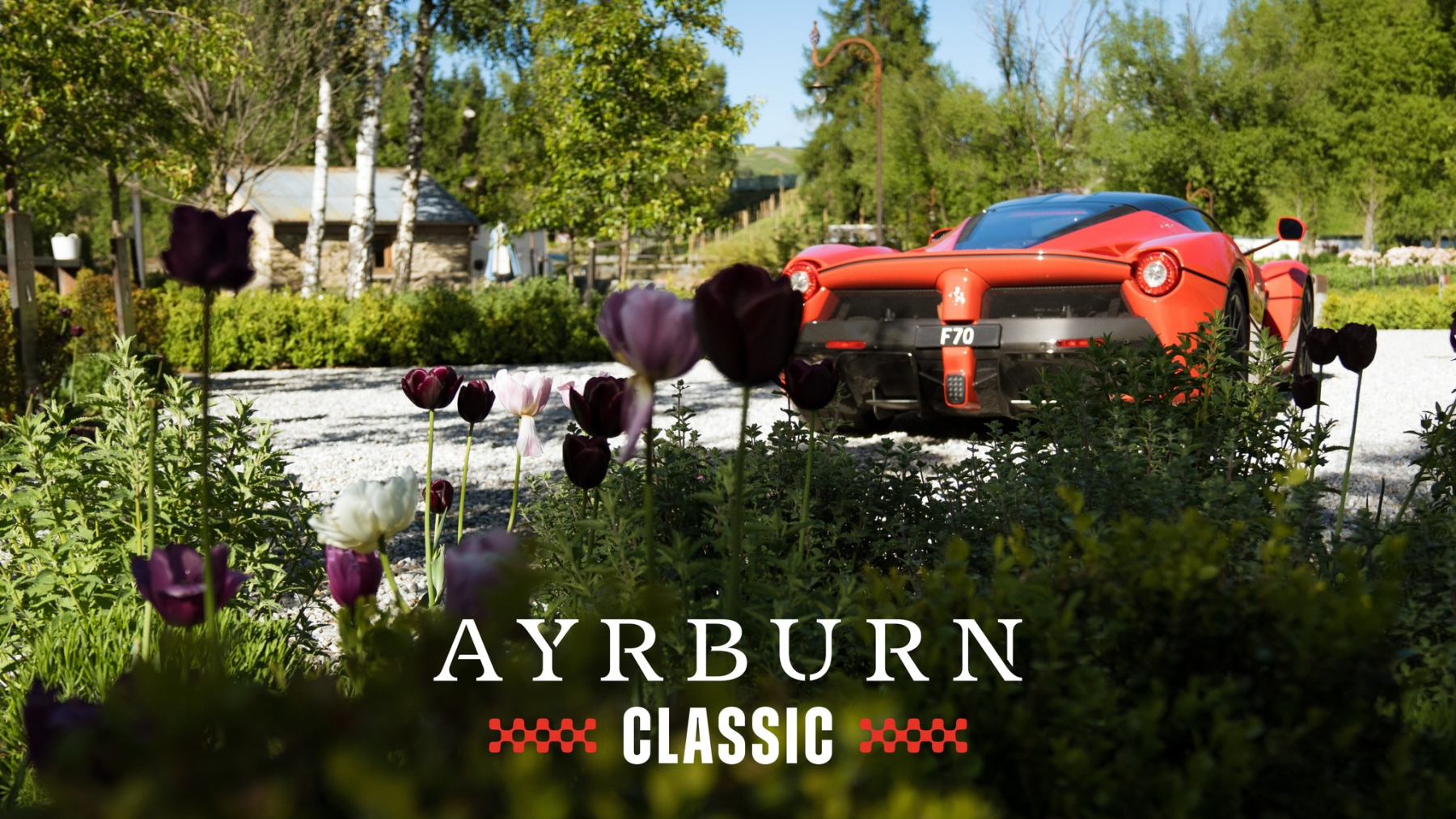 ayburn