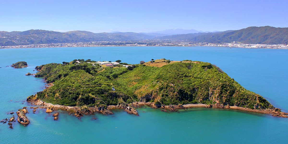 matiu somes island aerial view of island in middle of harbour FillWzEyMDAsNjAwXQ