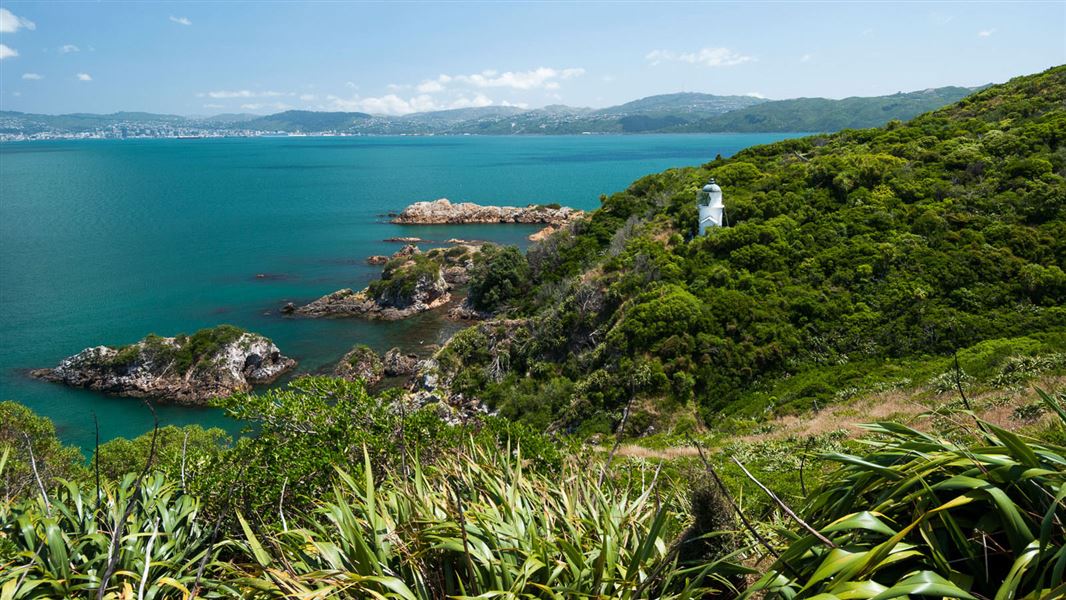 matiu sommes island 1920